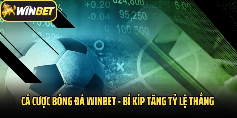 Cá Cược Bóng Đá