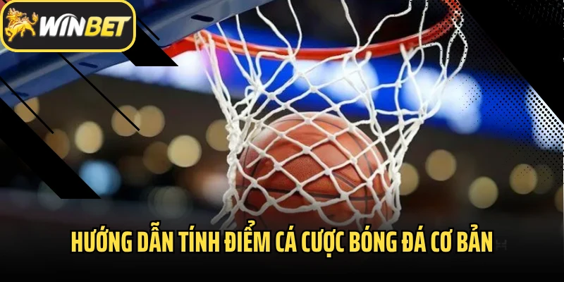 Hướng dẫn tính điểm cá cược bóng đá cơ bản