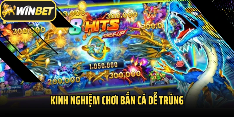 Kinh nghiệm chơi bắn cá dễ trúng